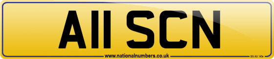 A11 SCN