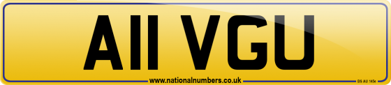 A11 VGU