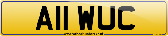 A11 WUC