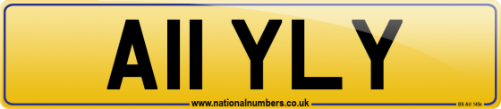 A11 YLY