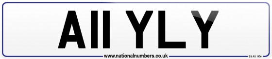 A11 YLY