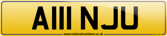 A111 NJU