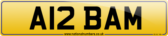 A12 BAM