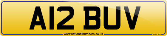 A12 BUV