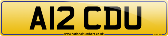 A12 CDU