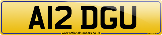 A12 DGU