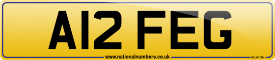 A12 FEG
