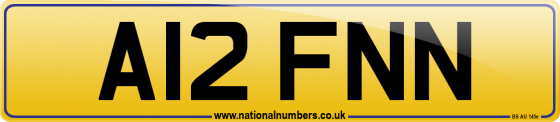 A12 FNN
