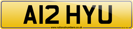 A12 HYU