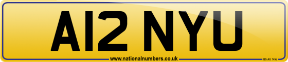 A12 NYU
