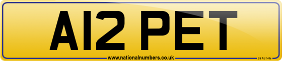 A12 PET