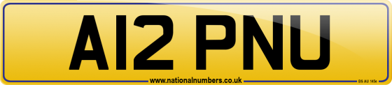 A12 PNU