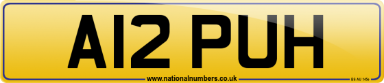 A12 PUH