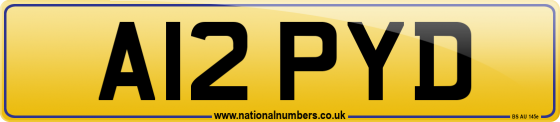 A12 PYD