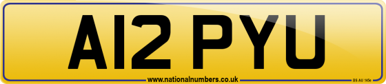 A12 PYU