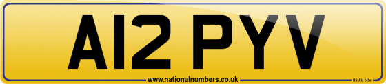 A12 PYV