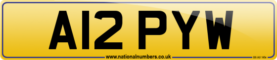 A12 PYW