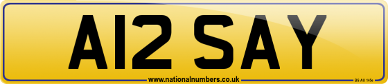 A12 SAY