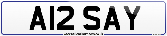 A12 SAY
