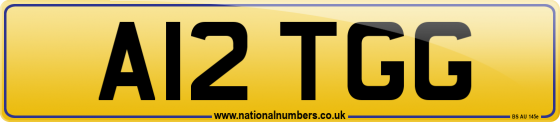 A12 TGG