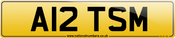 A12 TSM