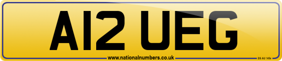 A12 UEG