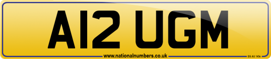 A12 UGM