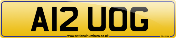 A12 UOG