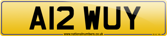 A12 WUY