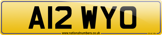 A12 WYO