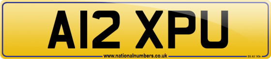 A12 XPU