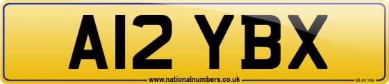 A12 YBX