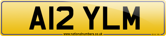 A12 YLM
