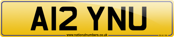A12 YNU