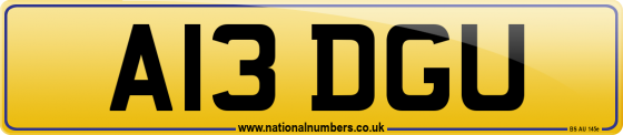 A13 DGU