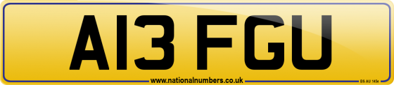 A13 FGU