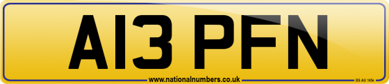 A13 PFN