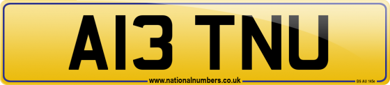 A13 TNU