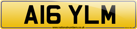 A16 YLM