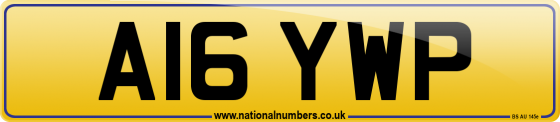 A16 YWP