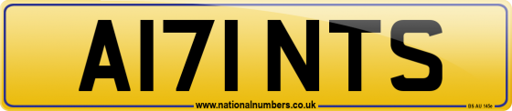 A171 NTS