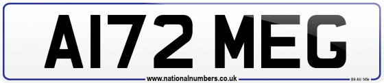 A172 MEG