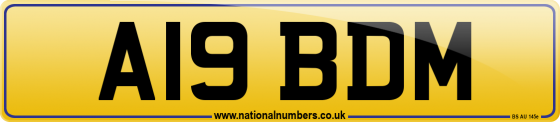 A19 BDM
