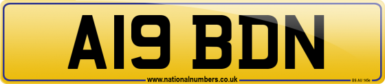A19 BDN