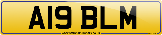 A19 BLM