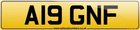 A19 GNF
