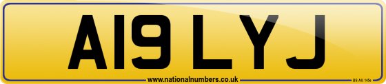 A19 LYJ