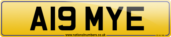 A19 MYE
