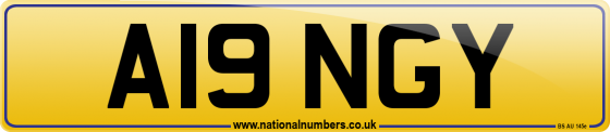 A19 NGY