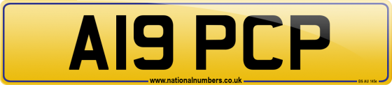 A19 PCP